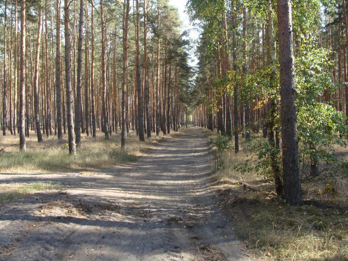Ferienwohnung Zossen Zewnętrze zdjęcie